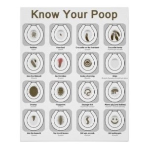 know your poop poster
