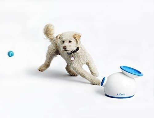 cool gifts for dogs