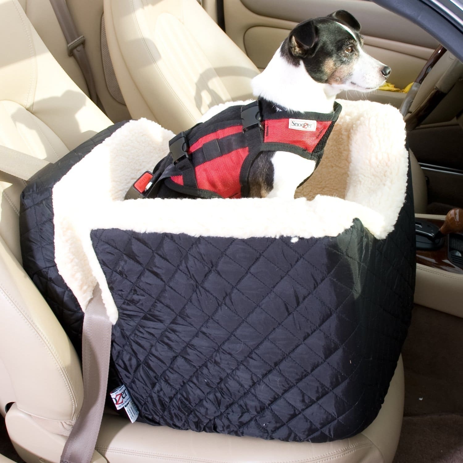 car seat for dogs