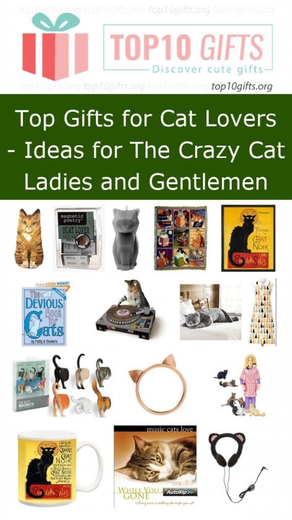 Best Cat Lover Gifts 23 Gift Ideas for People Who Love Cats